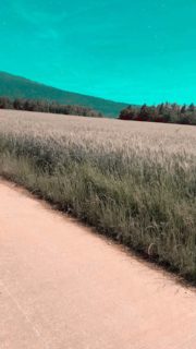 Cadre magnifique pour faire du vélo !

La 11e édition du triathlon populaire et jeunesse de Val-de-Ruz aura lieu le 05 juillet à Engollon. Rejoins-l’aventure !

#3xplusdeffort3xplusdebonheur #triathlon #triathletelife #swimbikerun 
@piscine_engollon @commune_de_val_de_ruz @instaneuch